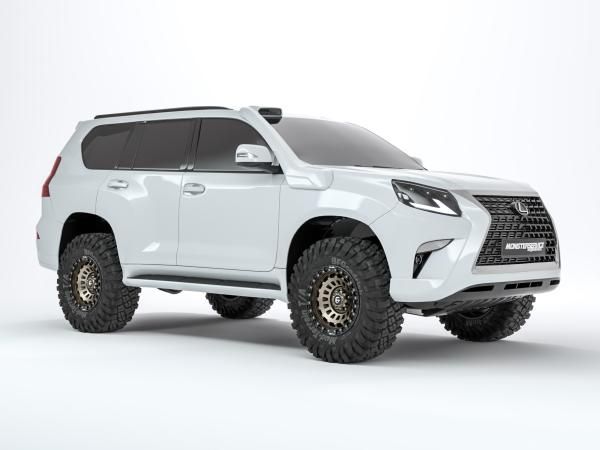 Шноркель GX460 
