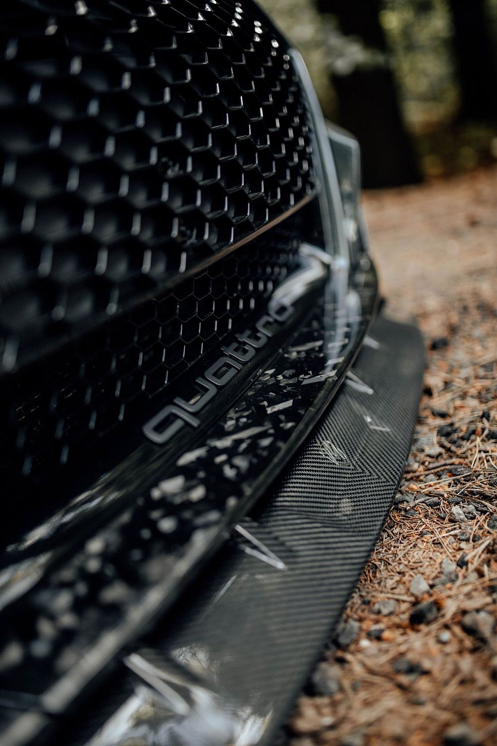 Лесной шторм