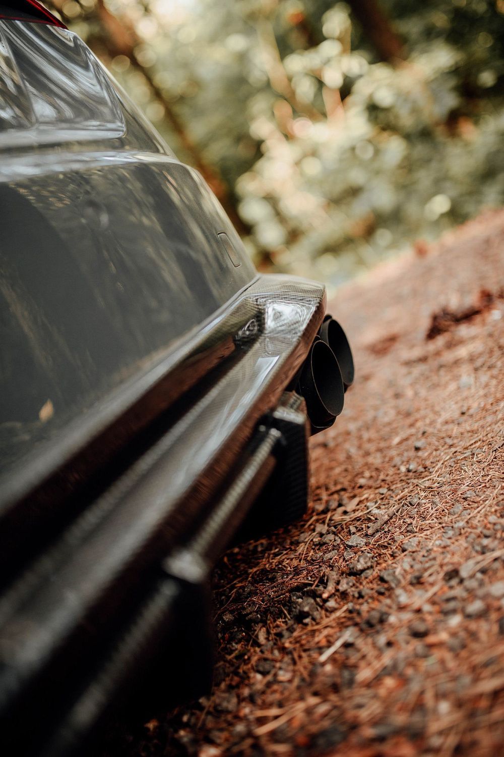 Лесной шторм