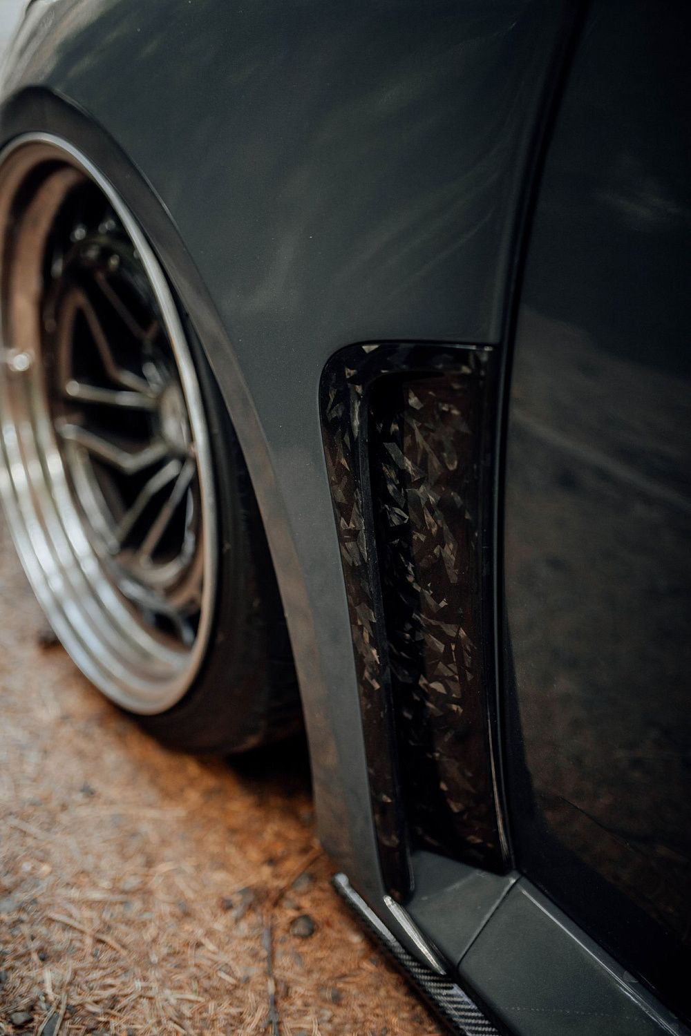 Лесной шторм