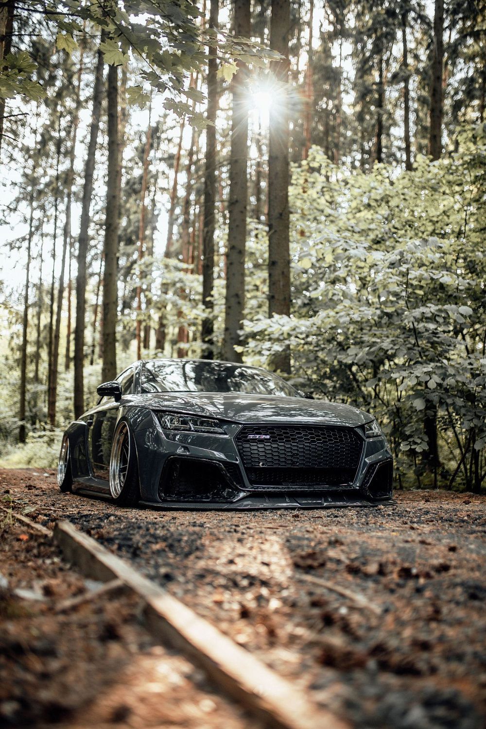 Лесной шторм