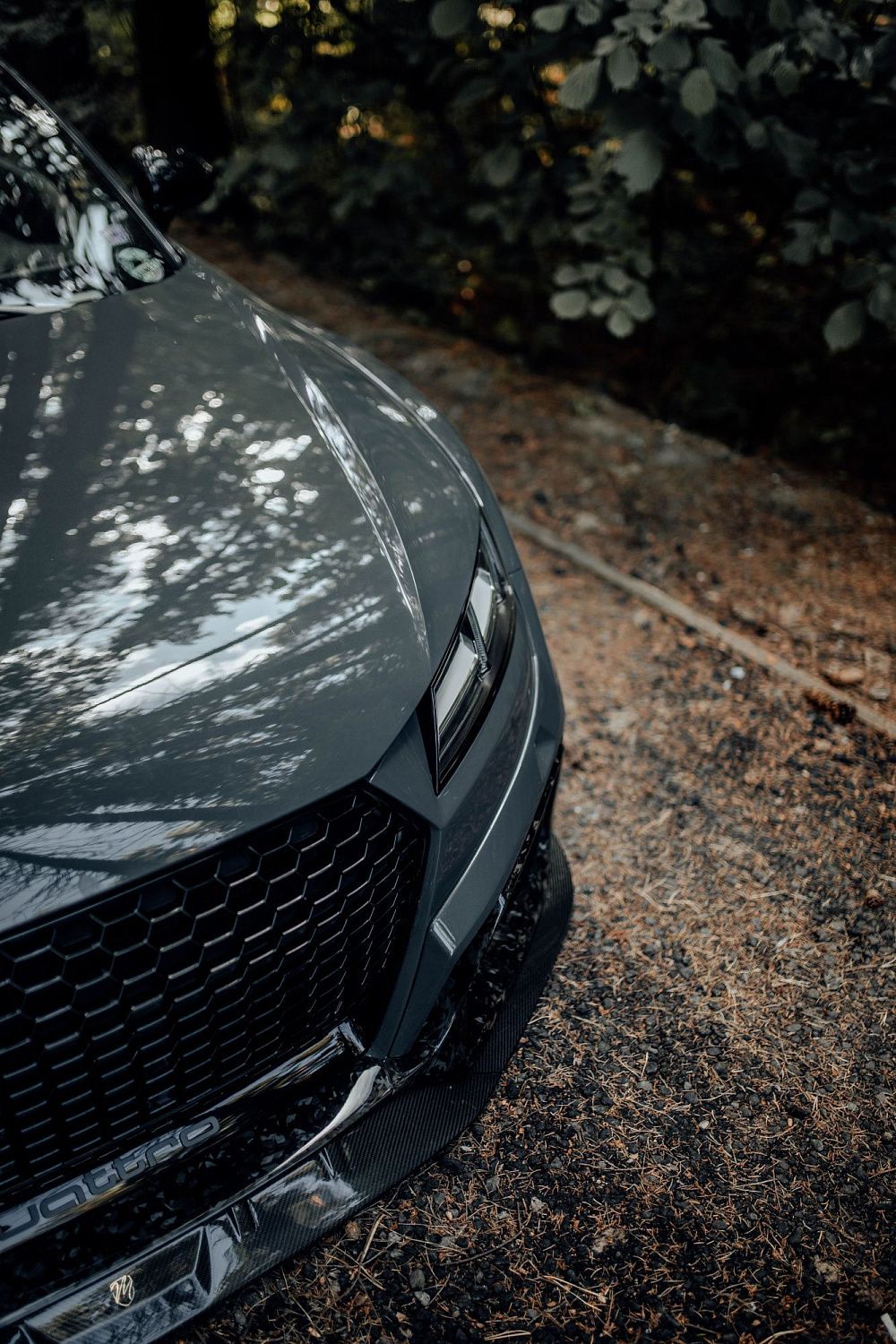 Лесной шторм