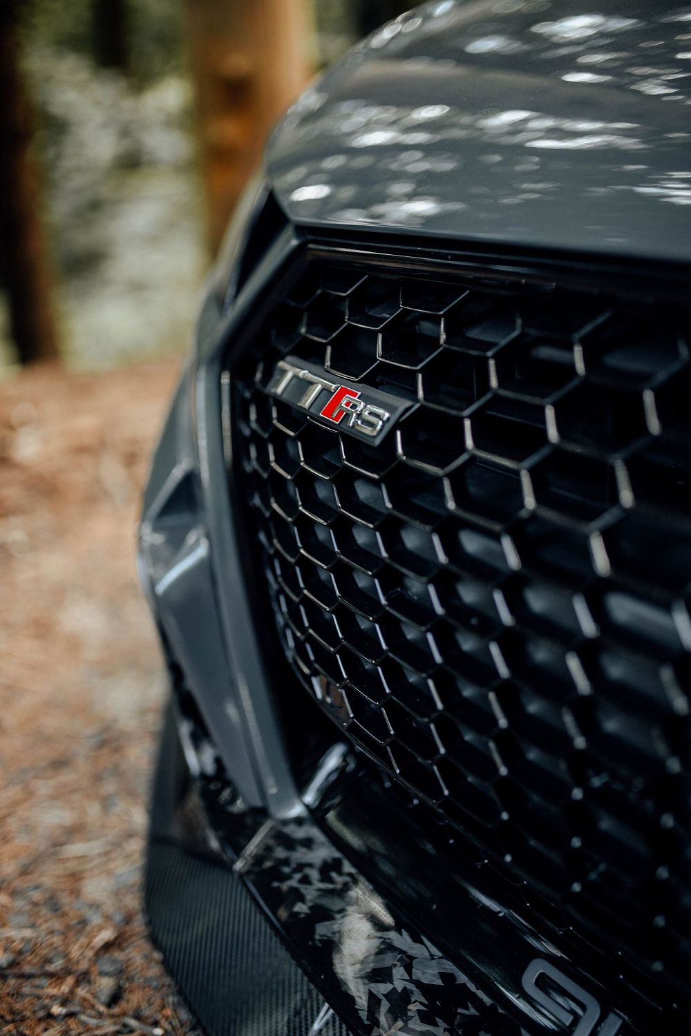 Лесной шторм