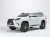 Шноркель GX460 