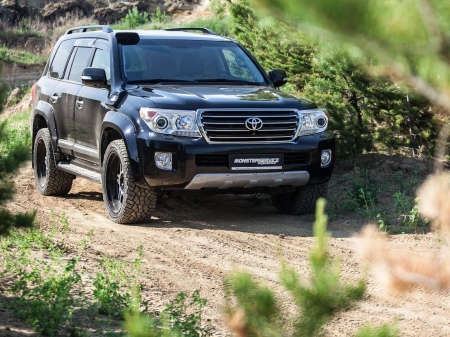 Шноркель TLC 200 2008-2015